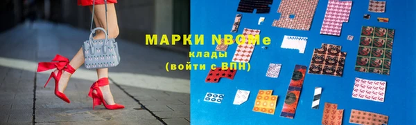 хмурый Гусь-Хрустальный