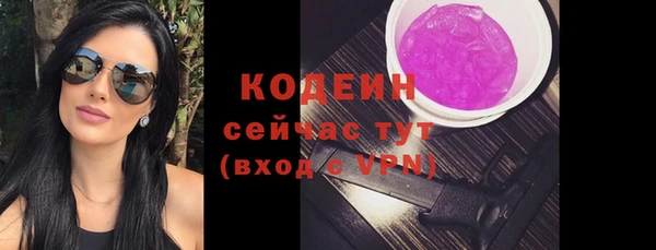 хмурый Гусь-Хрустальный