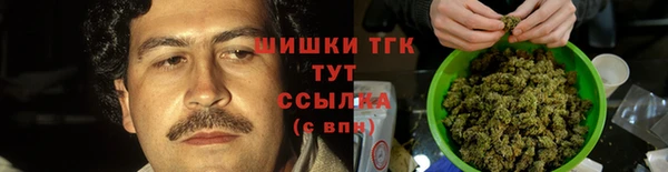 хмурый Гусь-Хрустальный
