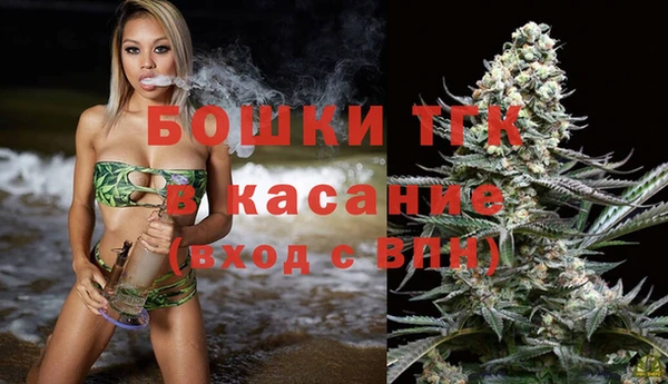 хмурый Гусь-Хрустальный