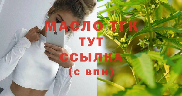 хмурый Гусь-Хрустальный