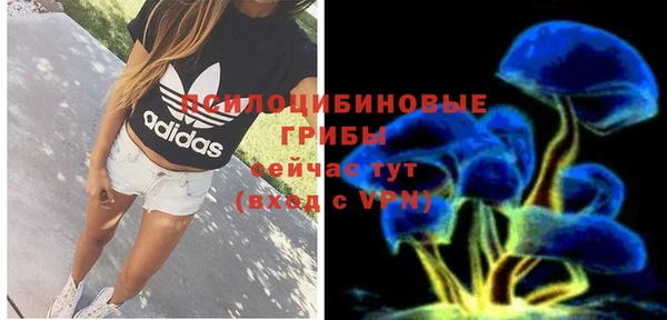 ALPHA PVP Гусиноозёрск