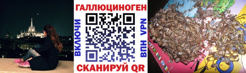 Псилоцибиновые грибы Magic Shrooms  Тюмень 
