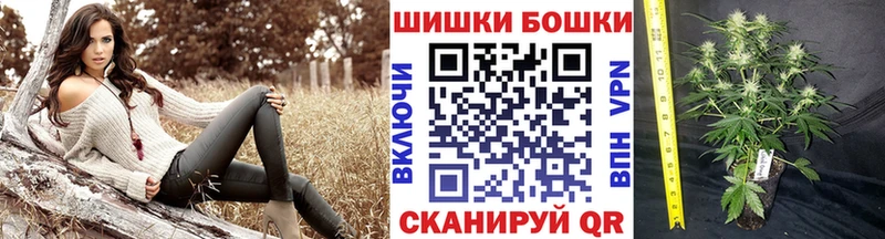 Шишки марихуана гибрид  купить наркотики цена  omg   Тюмень 